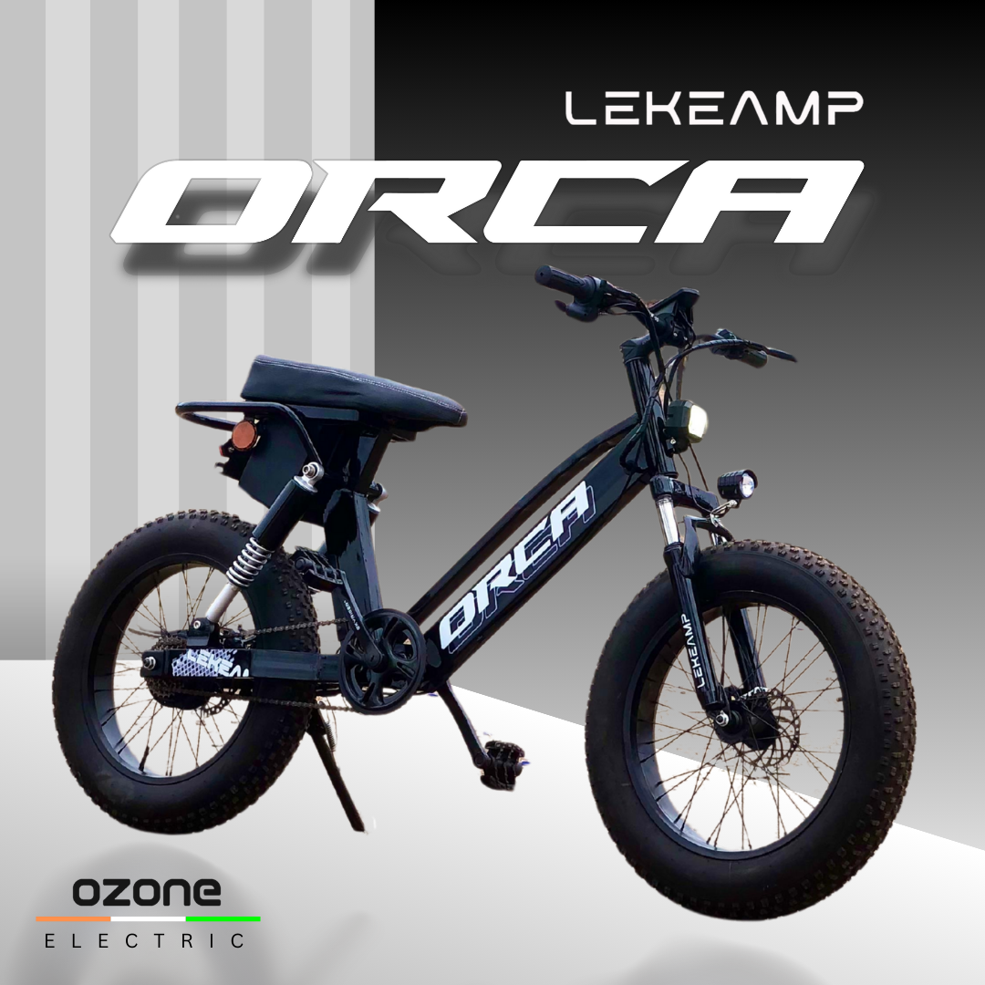 Electric Pedal Bike - View 1